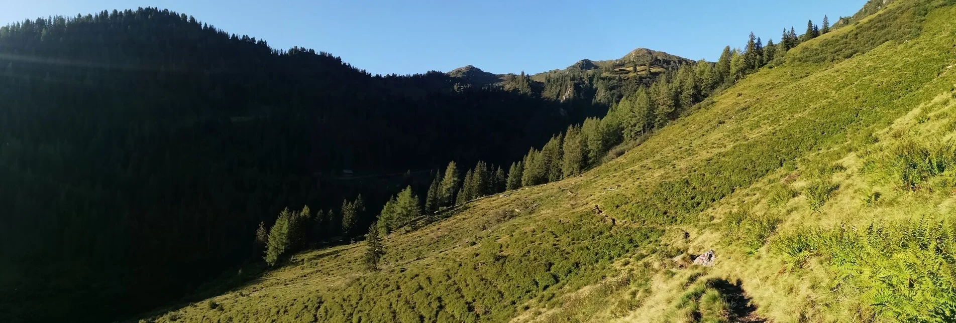 Trailrunning Riesneralm Gipfeltrail - Touren-Impression #1 | © Tourismusverband Grimming-Donnersbachtal