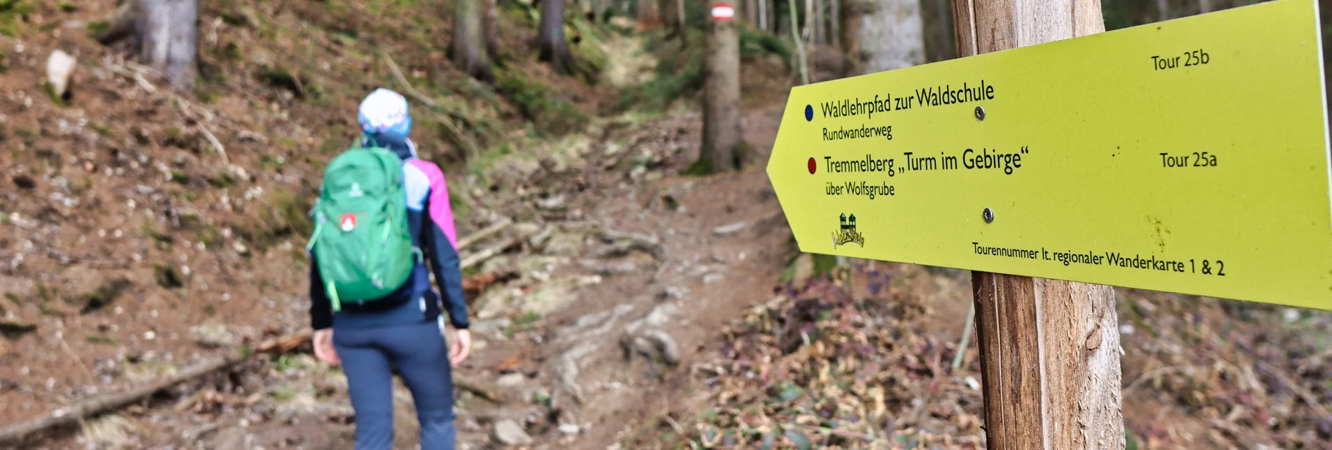 Wanderung Tremmelberg "Turm im Gebirge" über Wolfsgrube - Touren-Impression #1 | © Weges OG