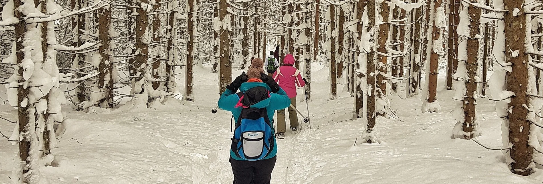 Snowshoe walking Snowshoe tour in Rohrmoos - Touren-Impression #1 | © Gerhard Pilz