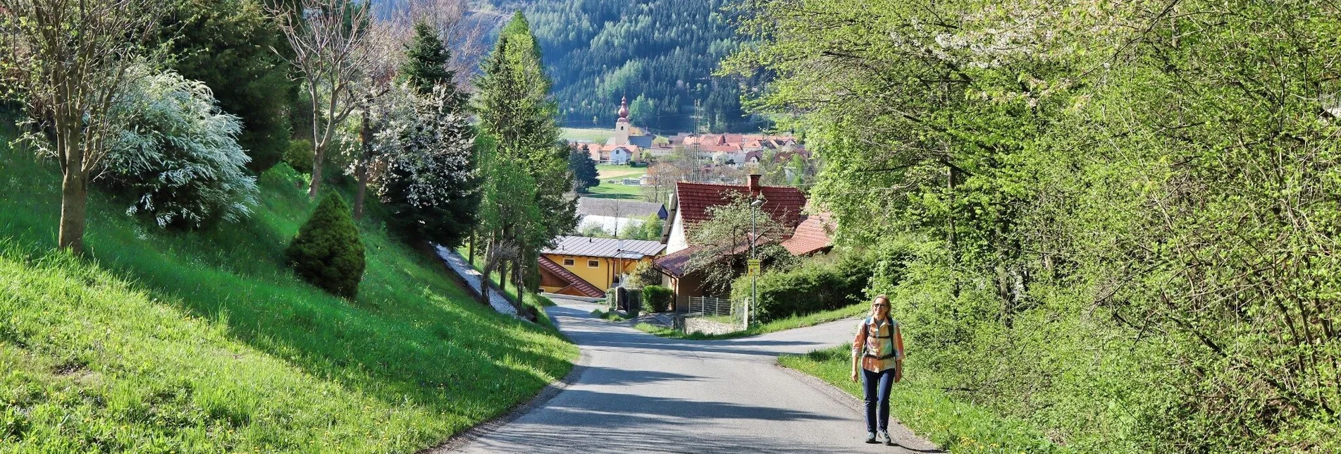 Wanderung Gerschkogel - Touren-Impression #1 | © Weges OG