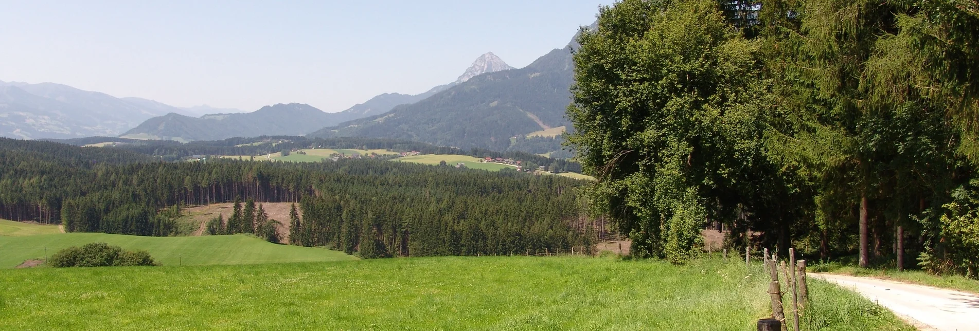 Nordic Walking Bewegungsarena - Lengdorf Waldrunde (SM 1) - Touren-Impression #1 | © Erlebnisregion Schladming-Dachstein