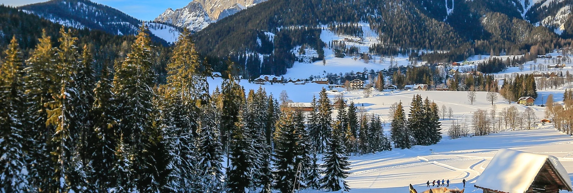 Pferdeschlitten Pferdeschlittentour Oberhorner-Vorberg - Touren-Impression #1 | © TVB Schladming