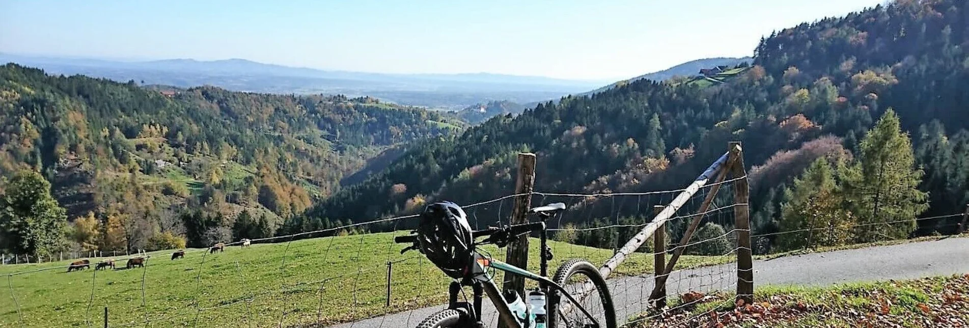 Mountain Biking Bad Schwanberg-St. Anna-Wirtbartl-Tour - Touren-Impression #1 | © Südsteiermark