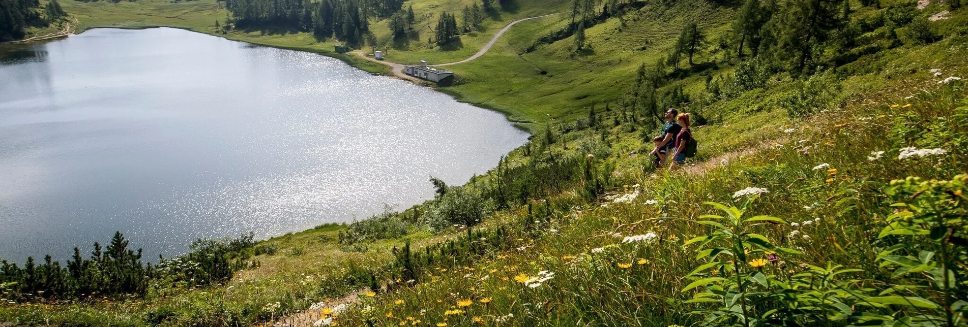 Hiking route Hike from the Tauplitzalm to the Ödernalm and Bad Mitterndorf - Touren-Impression #1 | © Ausseerland