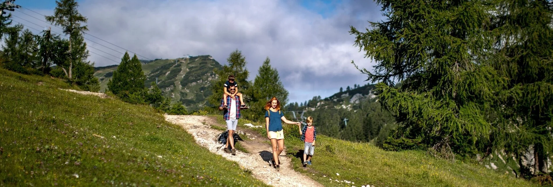 Hiking route Top Station Chairlift - Tauplitz via path 276 - Touren-Impression #1 | © Ausseerland