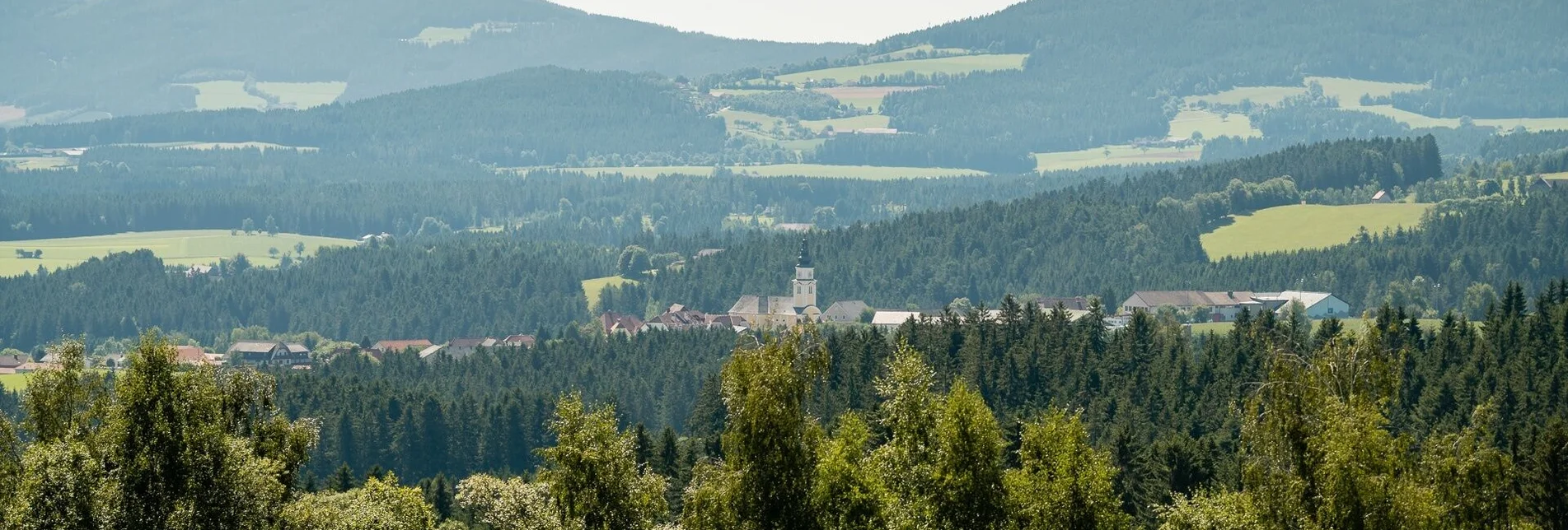 Mountain Biking Arzbergrunde from Wenigzell - Touren-Impression #1 | © Oststeiermark Tourismus