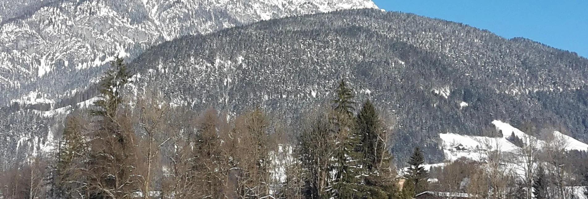 Langlauf klassisch Kufsteinloipe Weißenbach - Touren-Impression #1 | © Unbekannt