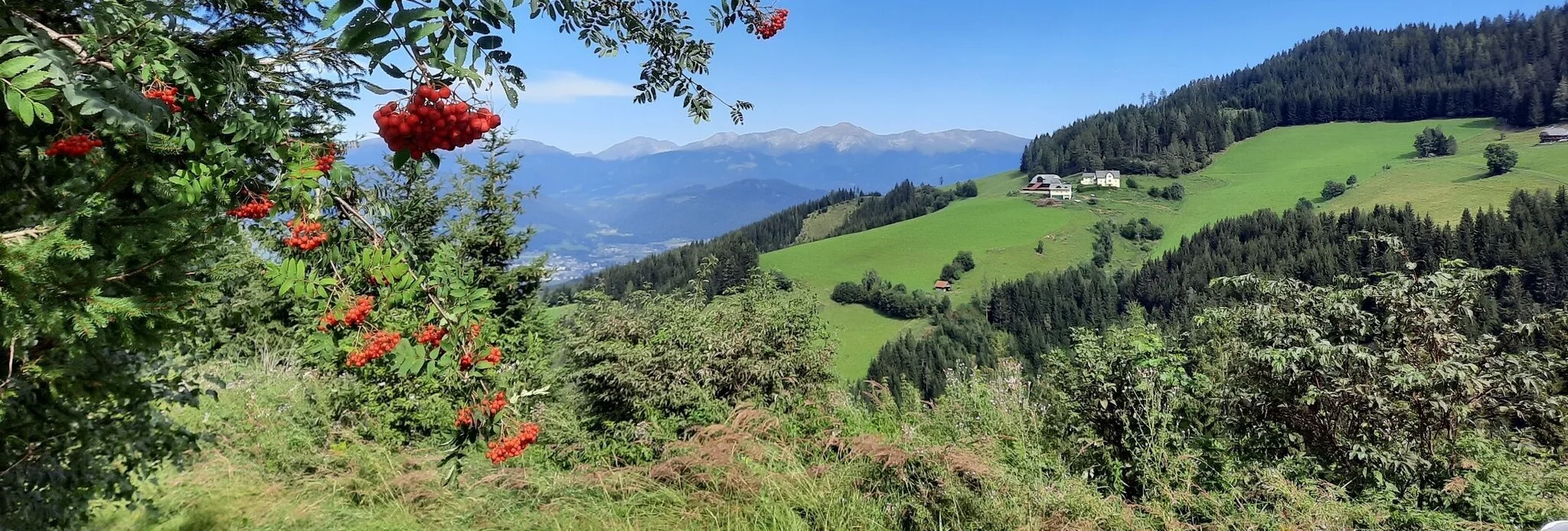 Hiking route Steinplan via sunny side - Touren-Impression #1 | © WEGES OG