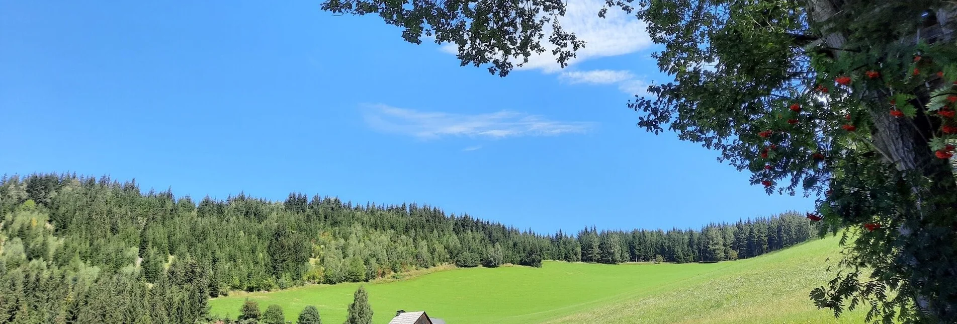 Hiking route Steinplan via Kalchbauer - Touren-Impression #1 | © WEGES OG