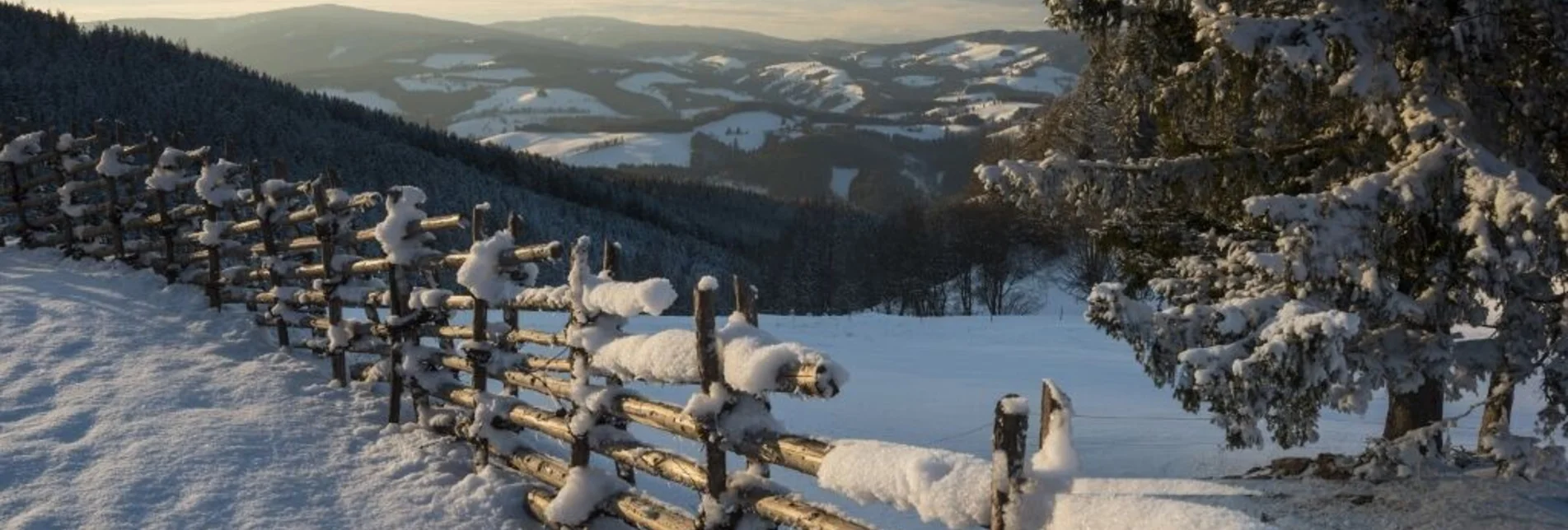 Winter Hiking Winter hiking trail from Orthofer to Berger, St. Jakob im Walde - Touren-Impression #1 | © Gasthof Orthofer