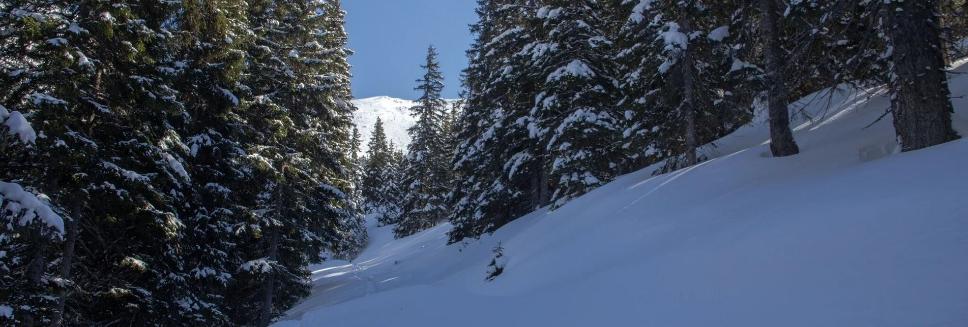 Snowshoe walking Snowshoe hiking tour Michelirlingalm - Touren-Impression #1 | © Erlebnisregion Schladming-Dachstein