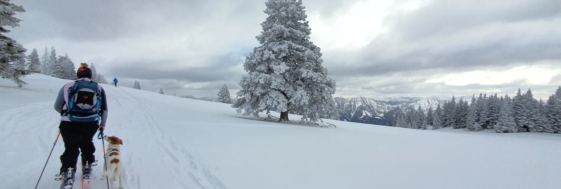 Ski Touring Ski tour to the Gemeindealpe - Touren-Impression #1 | © TV Hochsteiermark