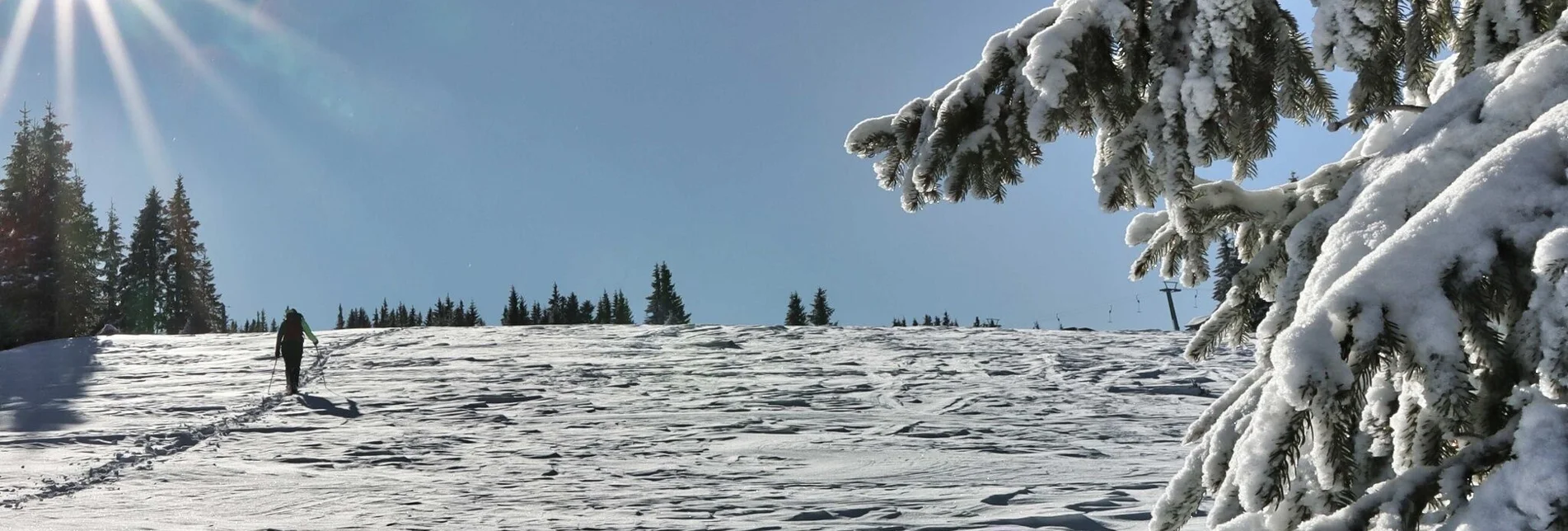 Schneeschuh Schneeschuhwanderung Moschkogel - Touren-Impression #1 | © Weges OG