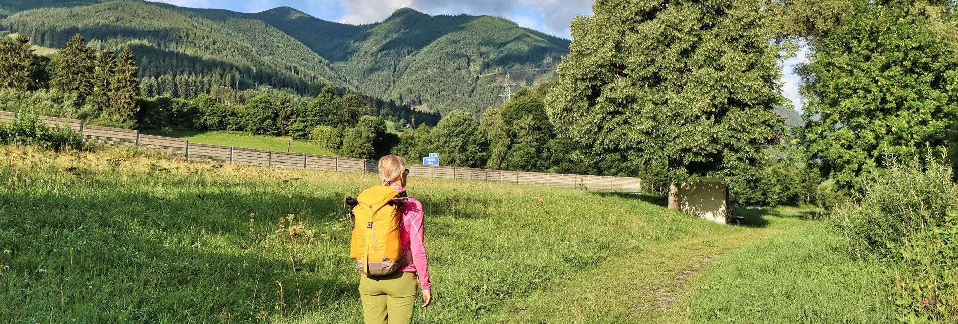 Hiking route From Mautern to the Bremstein - Touren-Impression #1 | © Weges OG