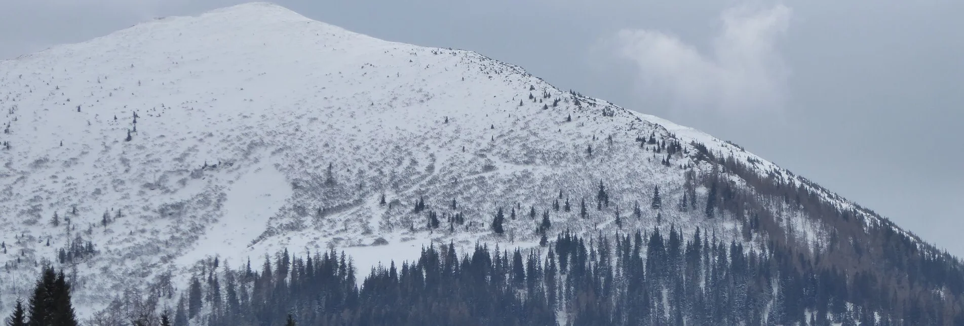 Ski Touring Leobner - Touren-Impression #1 | © TV Gesäuse