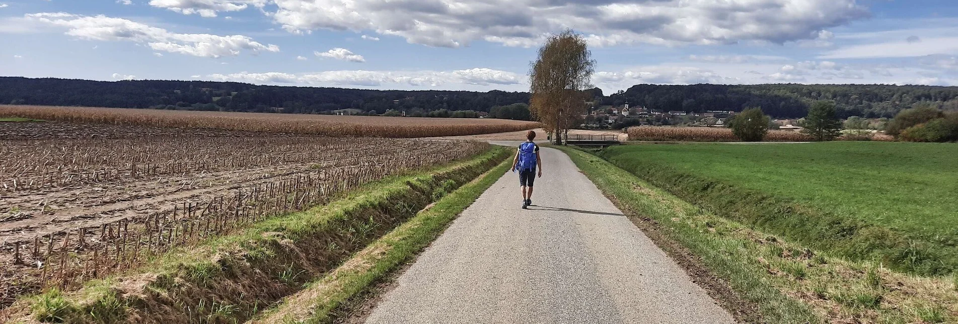 Wanderung Safentalweg Bad Blumau - Touren-Impression #1 | © Weges OG