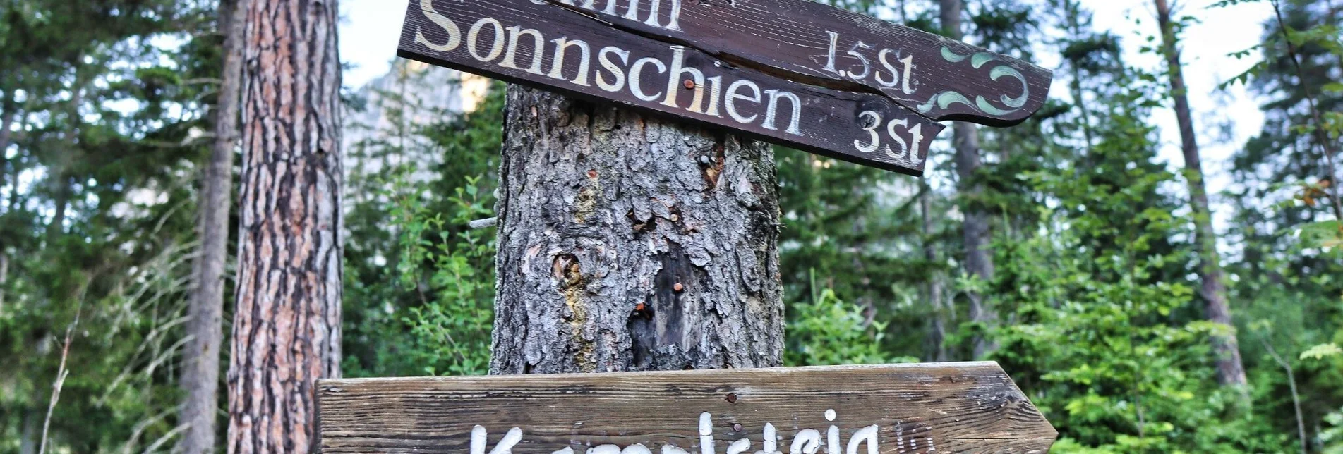 Wanderung Kamplsteig am Grünen See - Touren-Impression #1 | © Weges OG