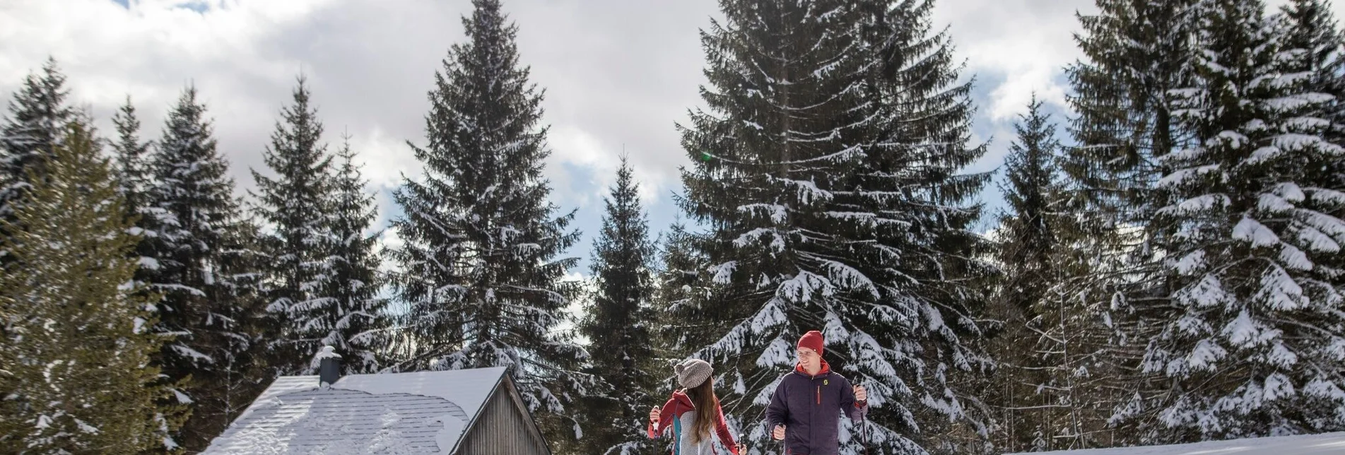 Snowshoe walking Snowshoe hike on the Tauplitzalm - Touren-Impression #1 | © Salzkammergut