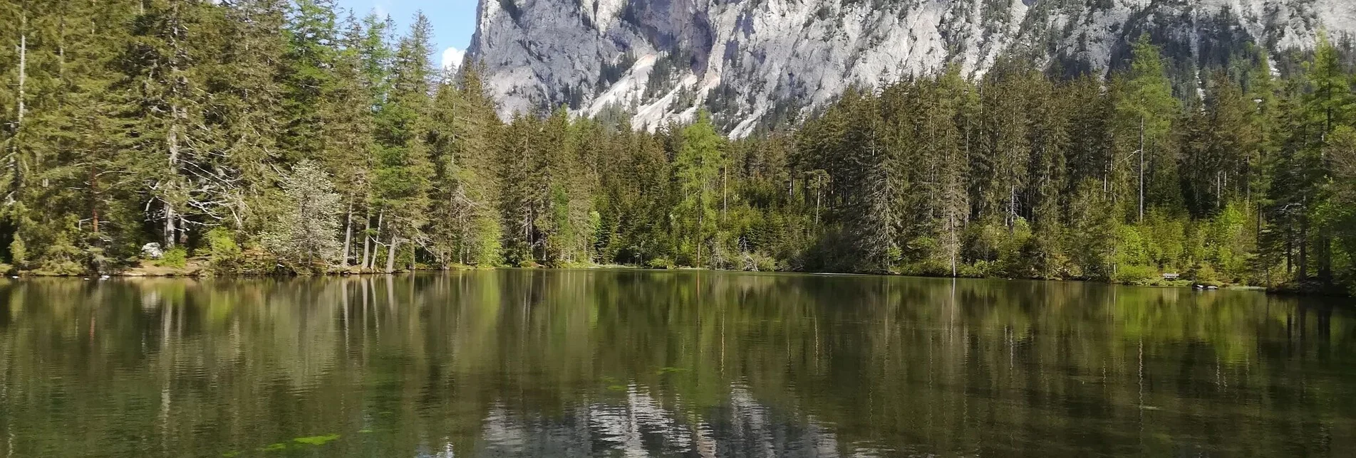 Wanderung Rund um den Grünen See - Touren-Impression #1 | © FVV  Tragöß - St. Katharein