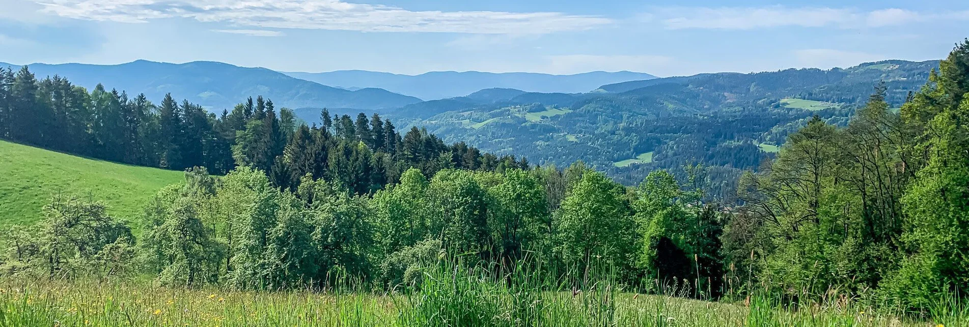 Mountain Biking Around the Buchenberg - Stairway to Heaven - Touren-Impression #1 | © Südsteiermark