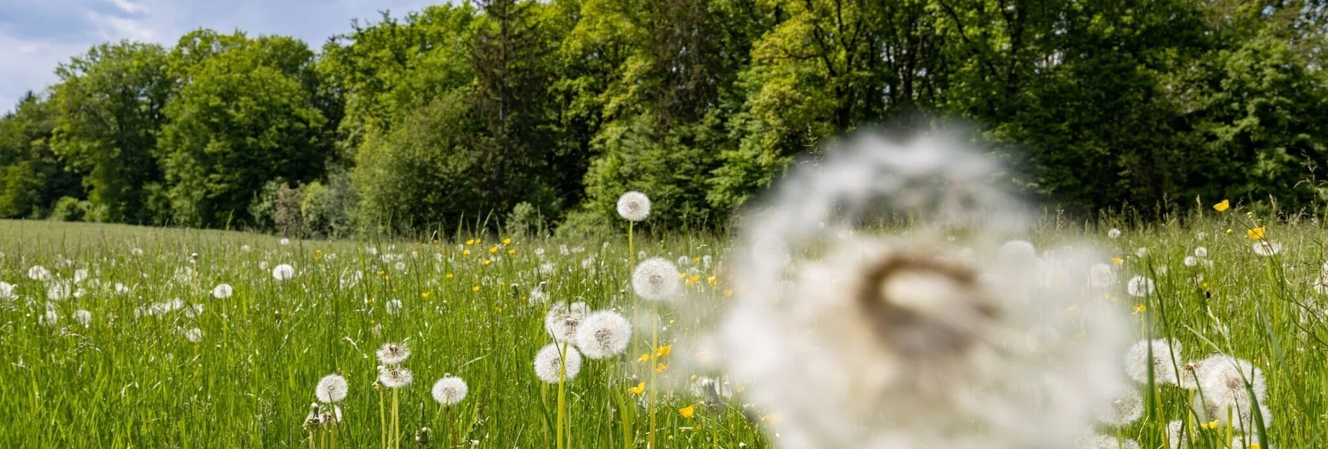 Wanderung Andritzer Rundweg - Touren-Impression #1 | © Graz Tourismus