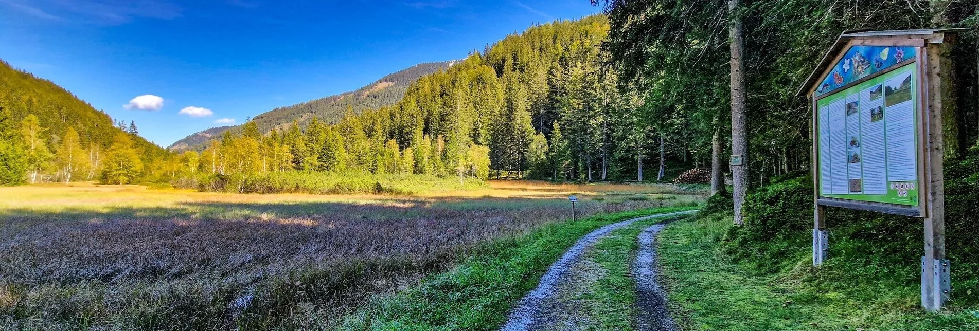 Hiking route Moorrunde Oppenberg - Touren-Impression #1 | © TV Gesäuse