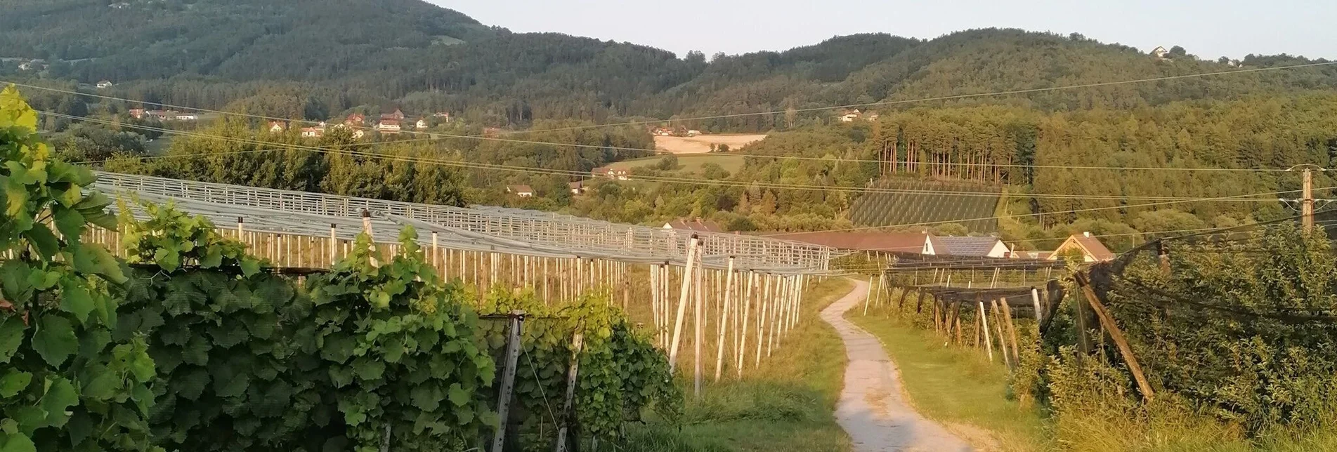 Wanderung Eiteljörg Rundweg, Puch bei Weiz - Touren-Impression #1 | © Oststeiermark Tourismus