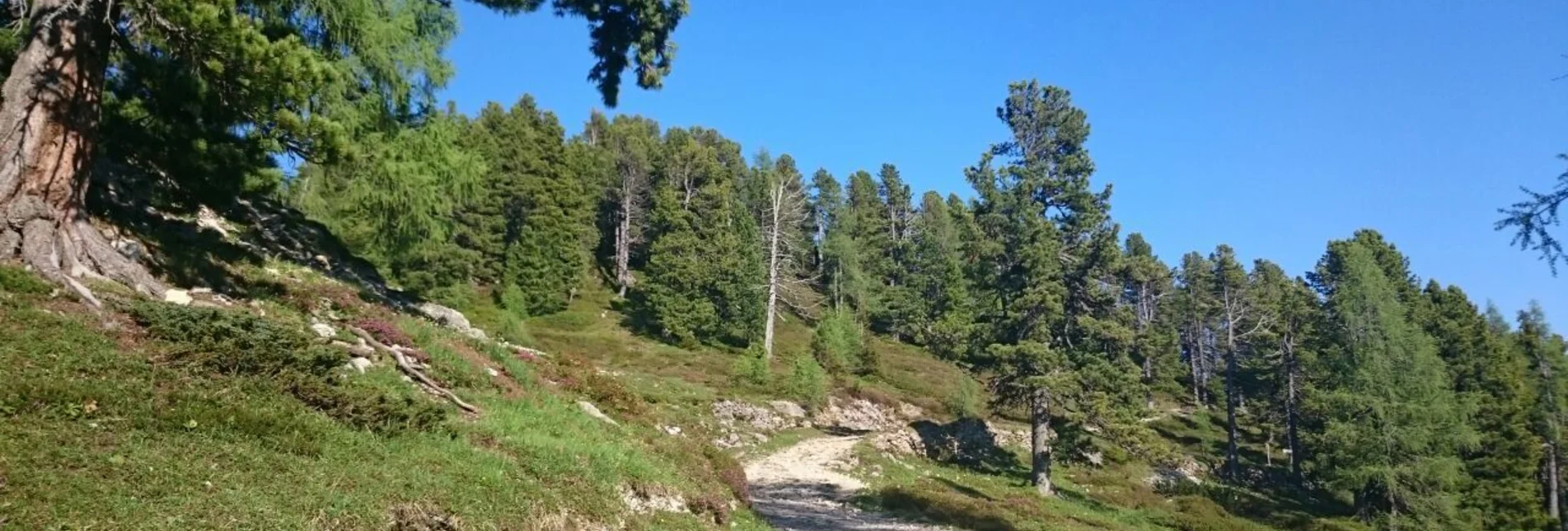 Wanderung Stoderalm-Rundweg zum Gröbminger Blick - Touren-Impression #1 | © Erlebnisregion Schladming-Dachstein