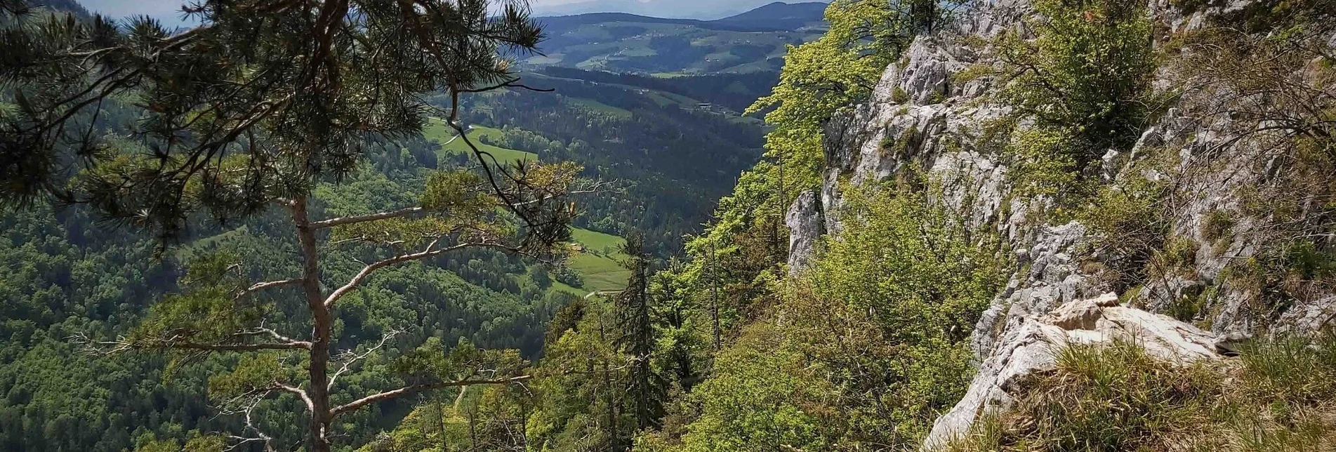 Wanderung Gösser & Sattelberge-Runde, Dürntal/Weiz - Touren-Impression #1 | © Oststeiermark Tourismus