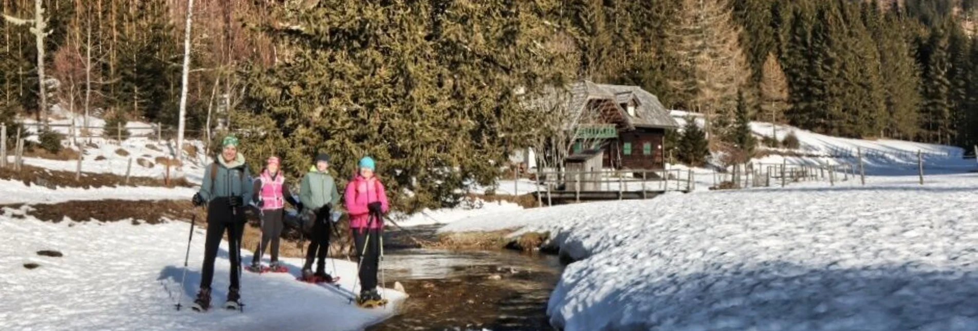 Snowshoe walking Snowshoe hike Tyrnaueralm, Teichalm - Touren-Impression #1 | © Oststeiermark Tourismus