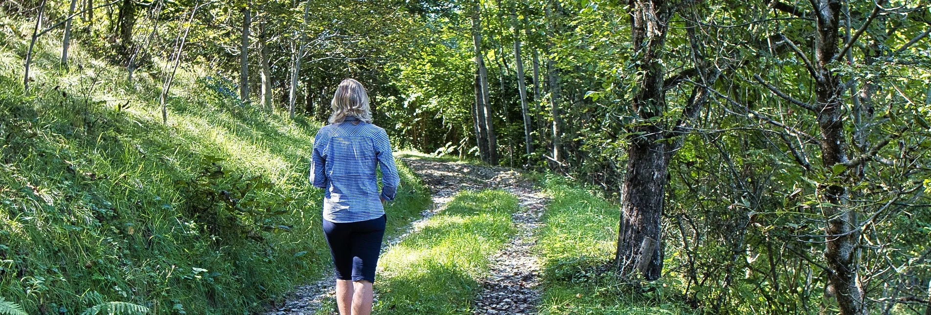 Hiking route Taggerwaldweg - Touren-Impression #1 | © Weges OG