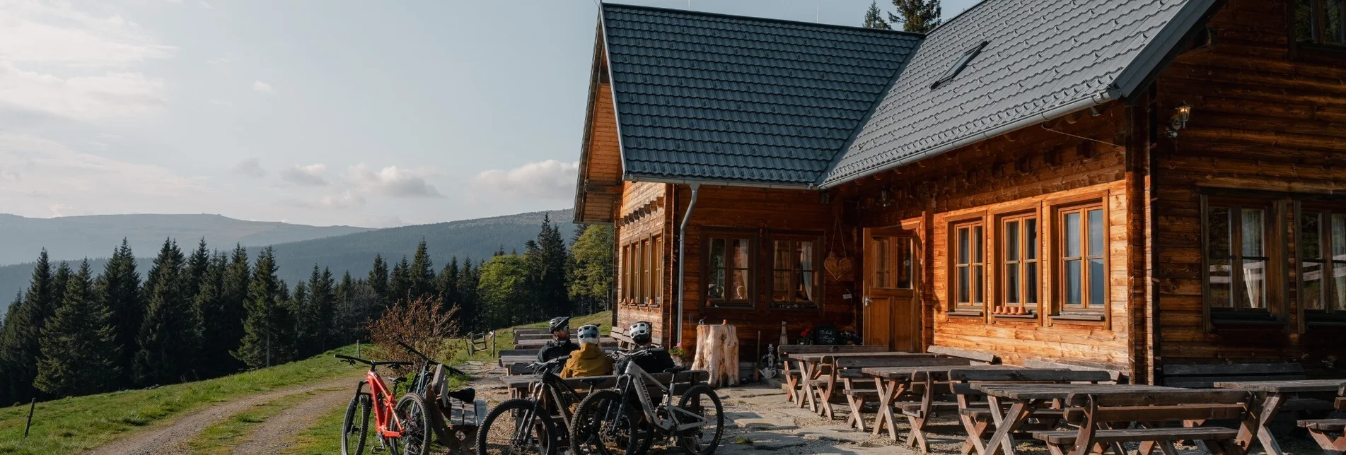 Mountain Biking Styrian Wexl Trails - Lorenzkogel Route - Touren-Impression #1 | © Verein Tourismusentwicklung Steirischer Wechsel