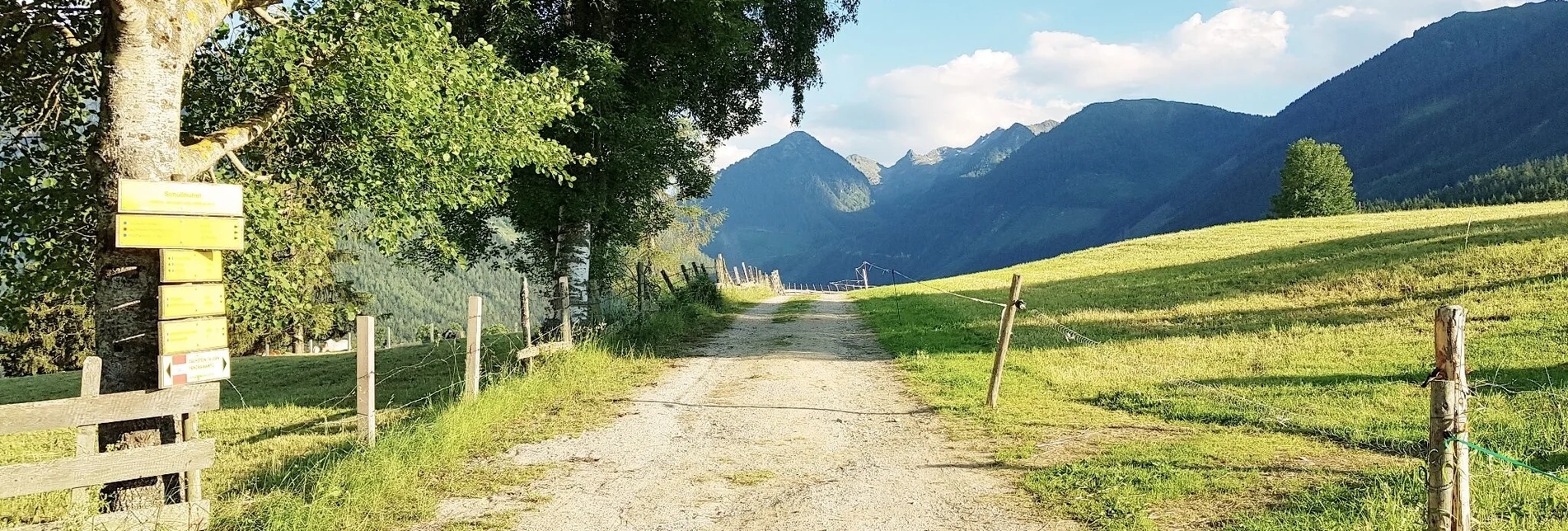 Jogging Michael Tritscher Laufrunde - Touren-Impression #1 | © Gerhard Pilz