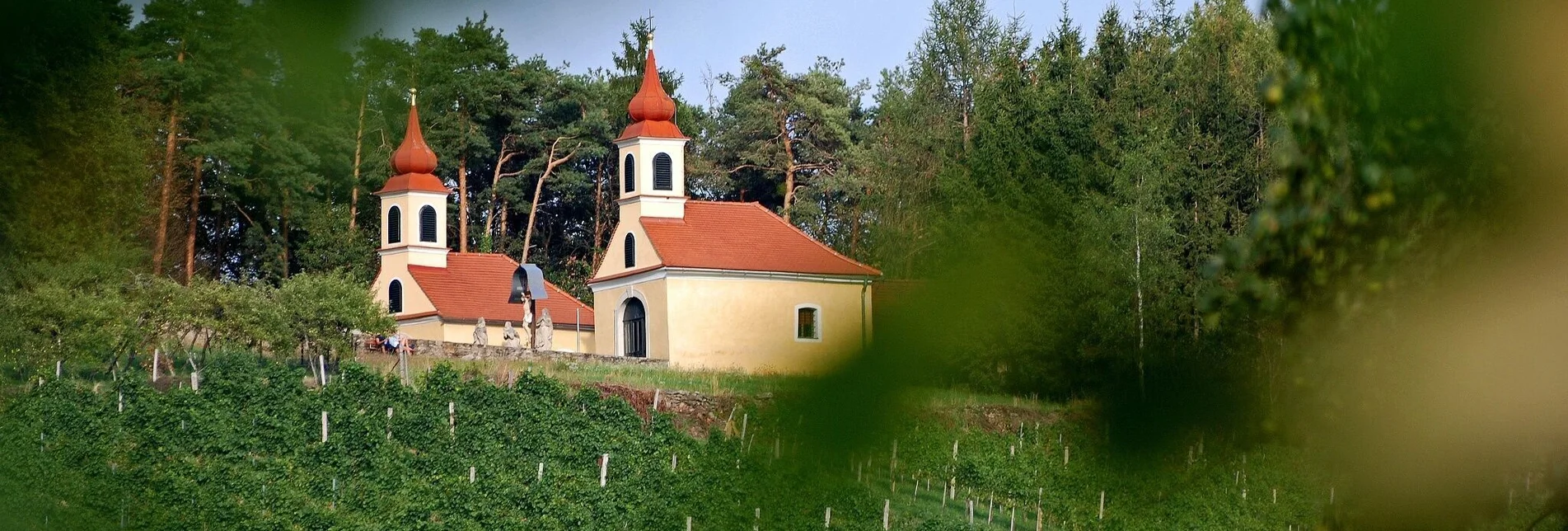 Genusswege Erlebnis Weinlehrpfad Hoferberg, Feistritztal - Touren-Impression #1 | © Oststeiermark Tourismus