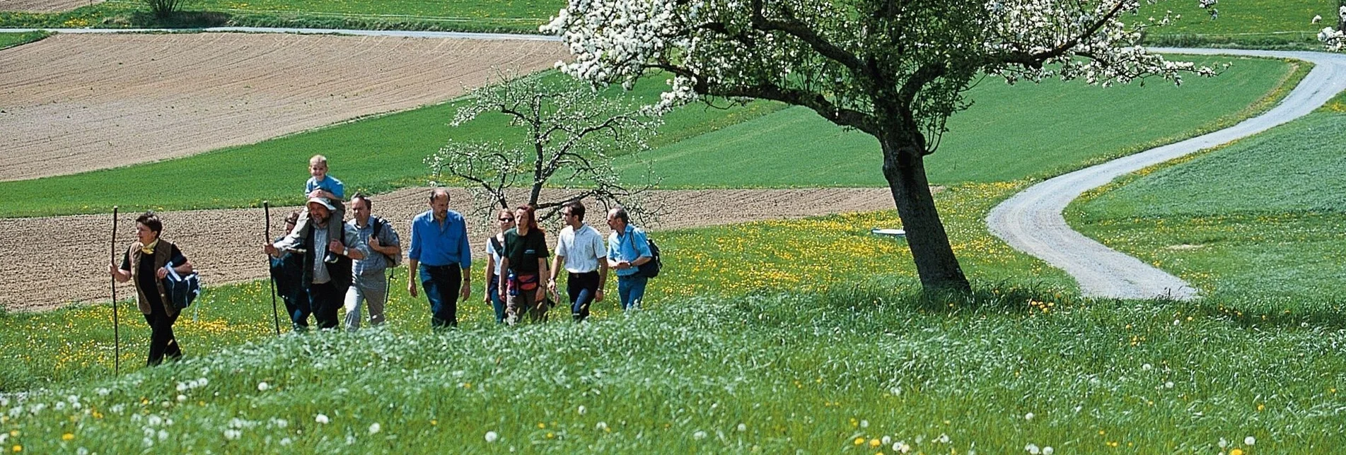 Theme path Tramway, Puch near Weiz - Touren-Impression #1 | © Oststeiermark Tourismus