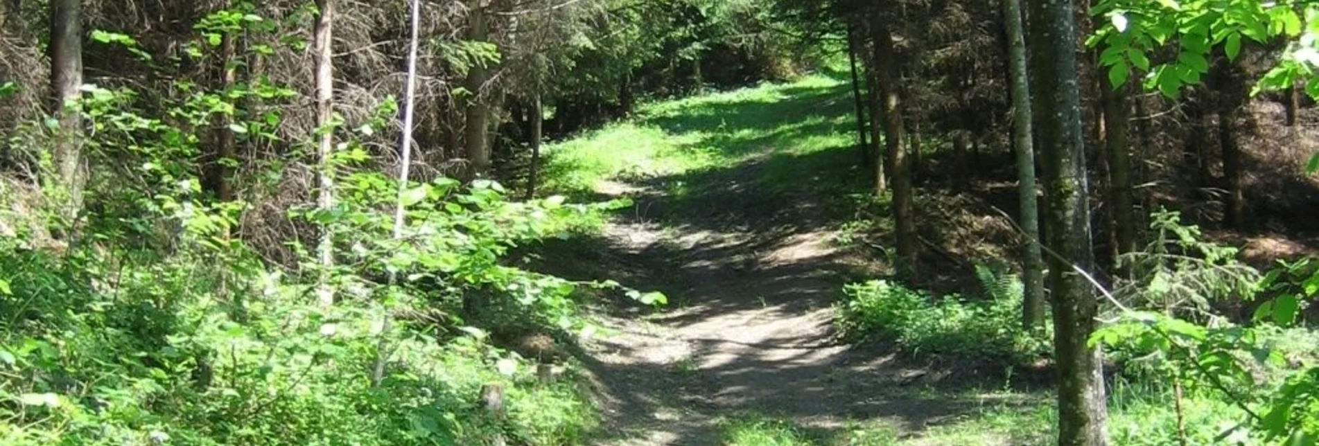 Hiking route Mariazell Trail to the Brandlucken - Touren-Impression #1 | © Oststeiermark Tourismus