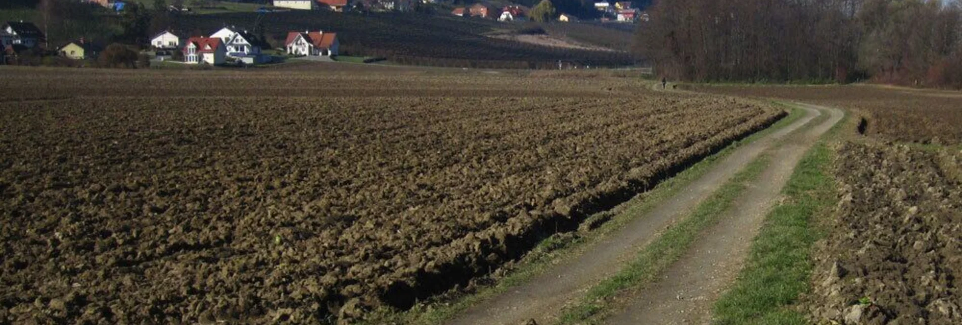 Jogging St. Ruprecht - Hobbylaufstrecke - Touren-Impression #1 | © Oststeiermark Tourismus