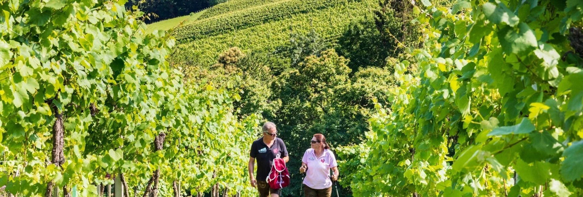 Wanderung GenussSchilchern DA - Gundersdorf - Touren-Impression #1 | © TVB Südsteiermark/Foto Augenblick