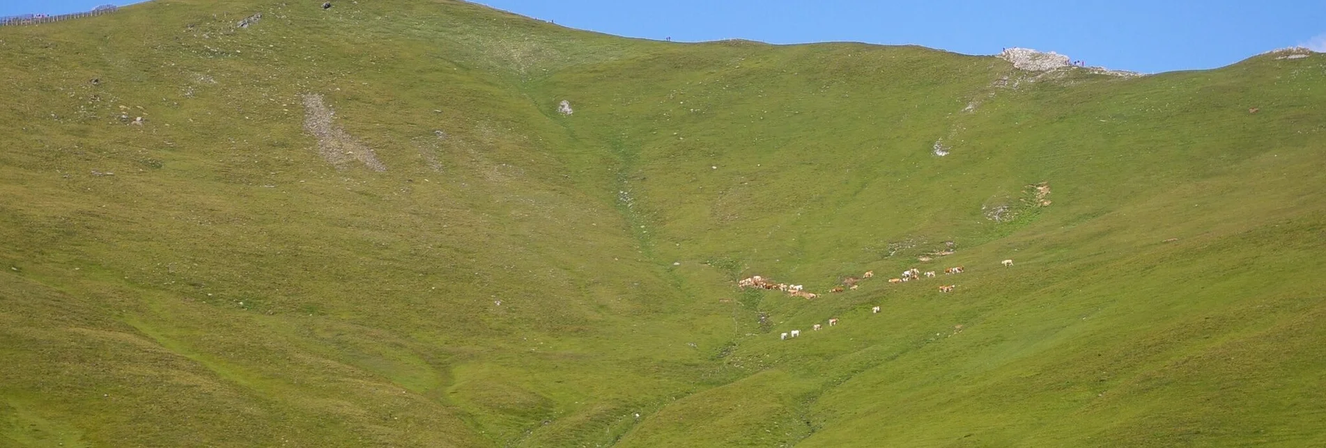 Mountain Hike Tanzstattkapelle-Hoher Zinken - Touren-Impression #1 | © Tourismusverband Murau