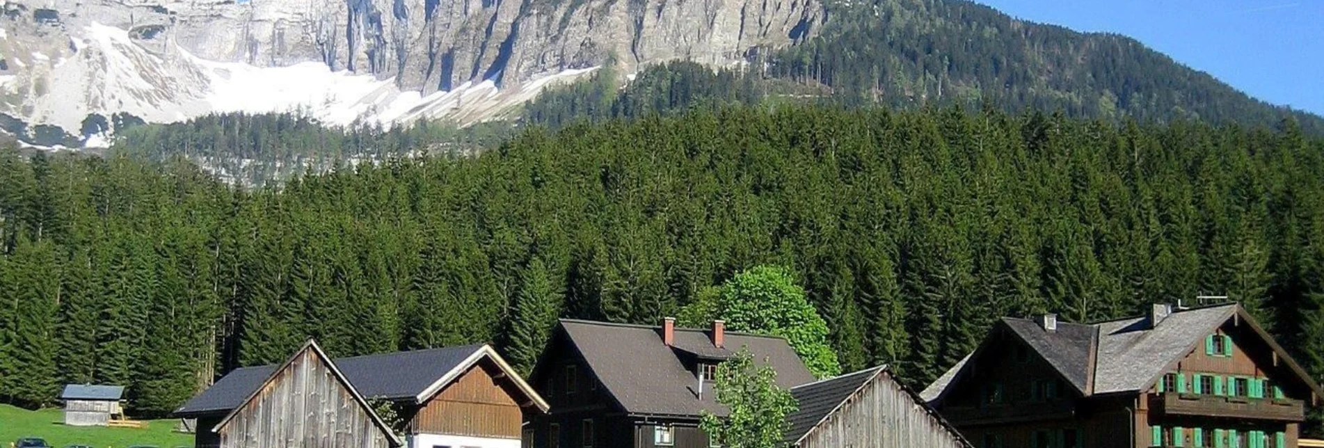 Wanderung Wanderung zur Blaa Alm - Touren-Impression #1 | © Ausseerland