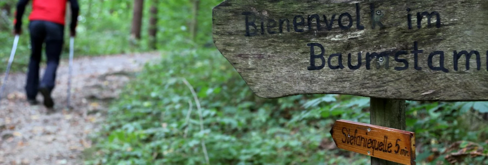 Family hiking trails Bee trail - Touren-Impression #1