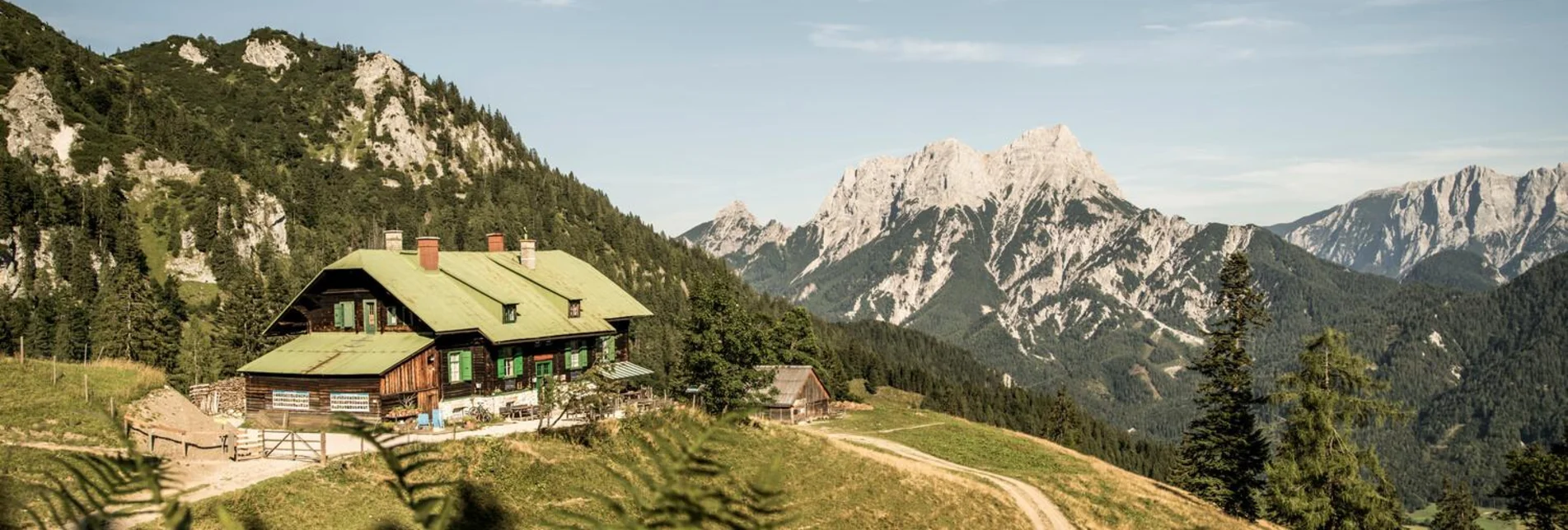 Family hiking trails Grabneralm - Touren-Impression #1 | © Stefan Leitner