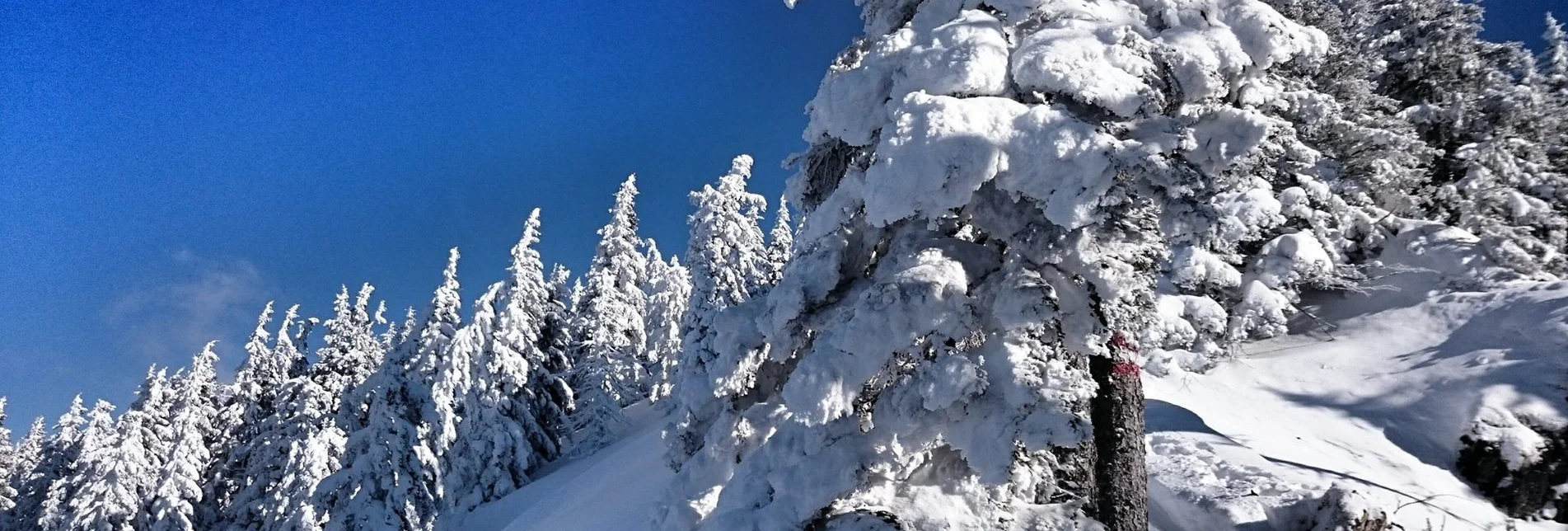 Winter Hiking Winter hike along the Enns bike path - Touren-Impression #1 | © Erlebnisregion Schladming-Dachstein