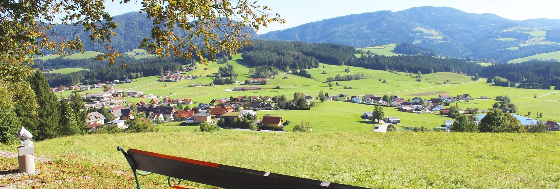 Family hiking trails Bee and Forest educational trail Passail - Touren-Impression #1 | © Tourismusverband Oststeiermark