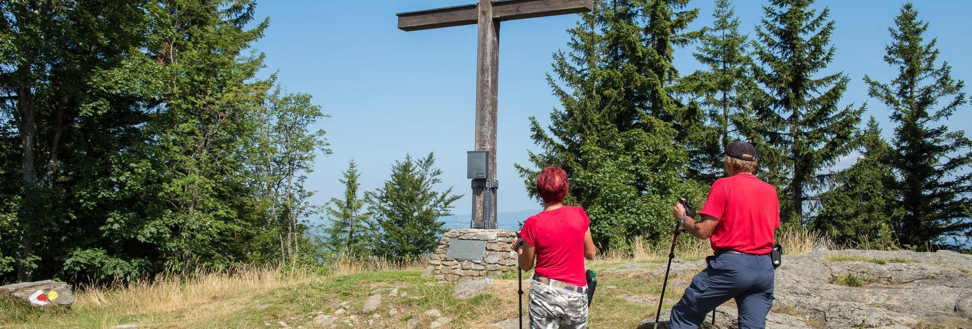 Family hiking trails Educational Trail: Wood Education Trail Masenberg - Touren-Impression #1 | © Helmut Schweighofer