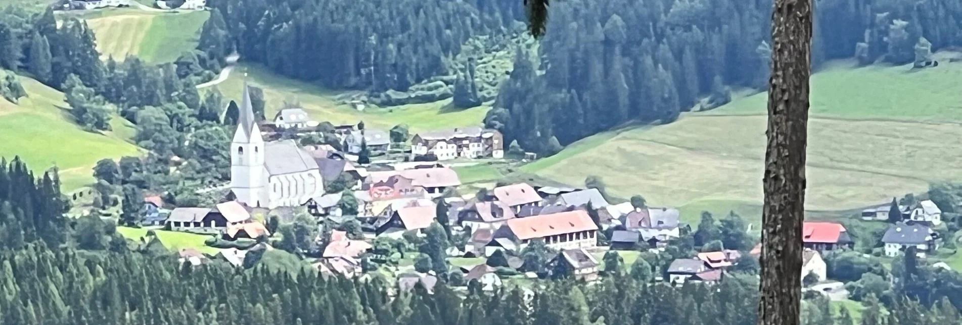 Hiking route Weg Nr. 7 Klosterneuburgerhütte - Touren-Impression #1 | © Heidemaria Kainer