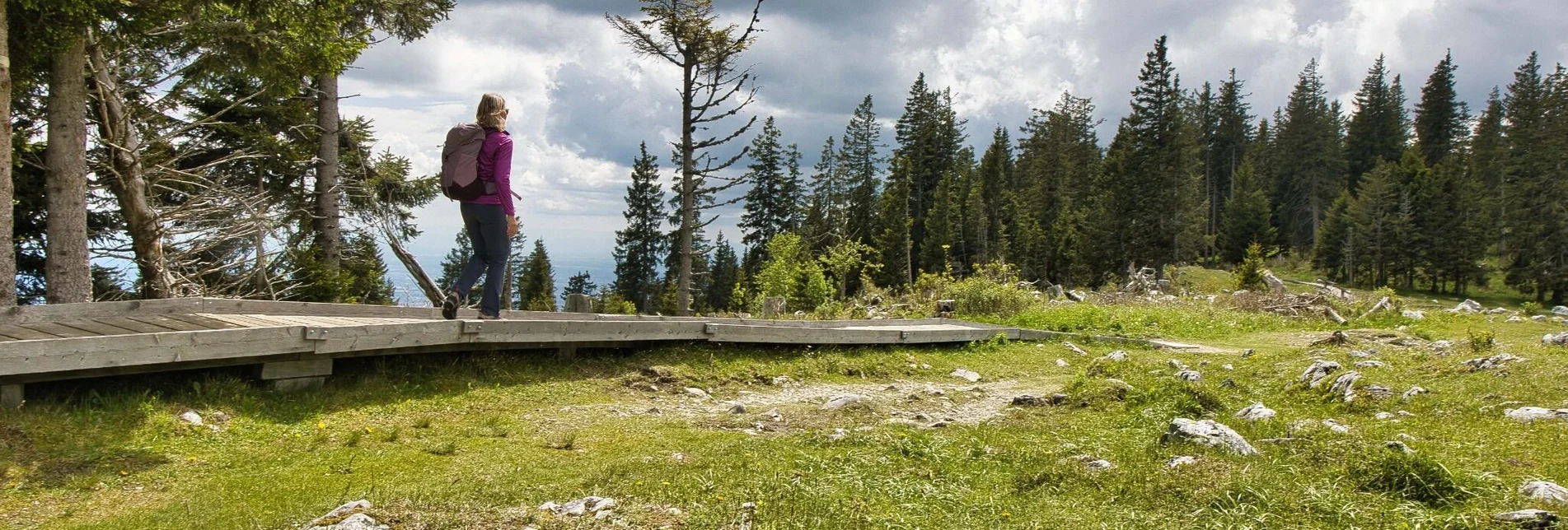 Wanderung Schöcklrunde über Schöcklkreuz - Touren-Impression #1 | © Weges OG