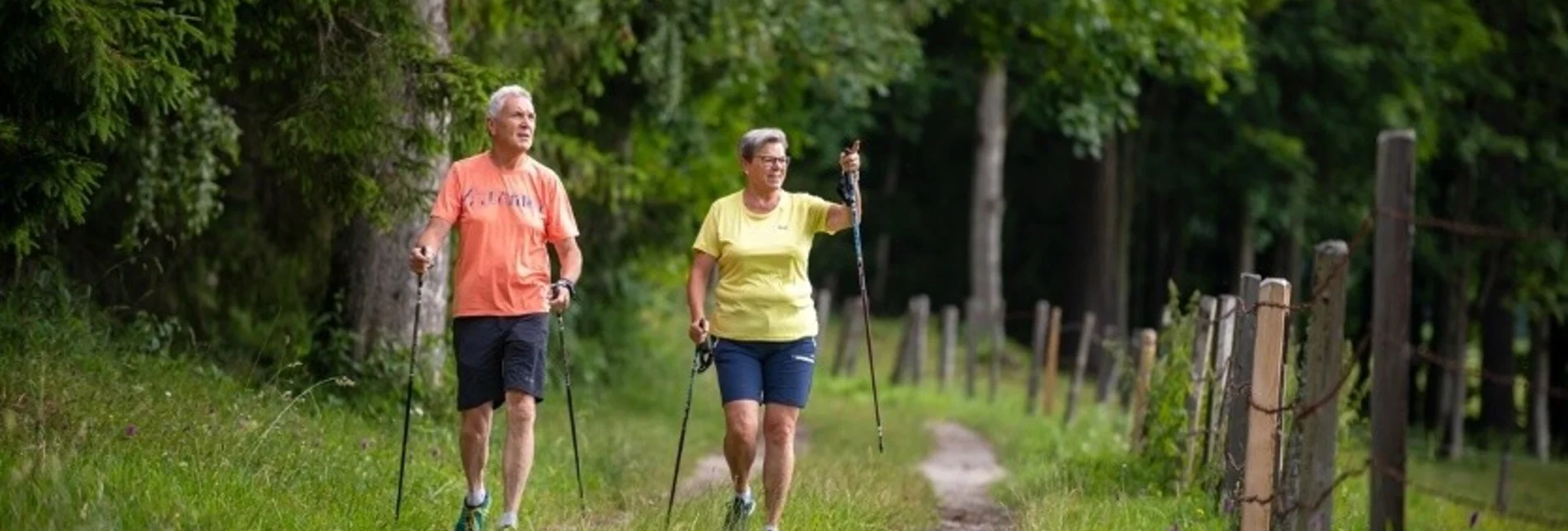 Nordic Walking Klatzenbergrunde - Touren-Impression #1