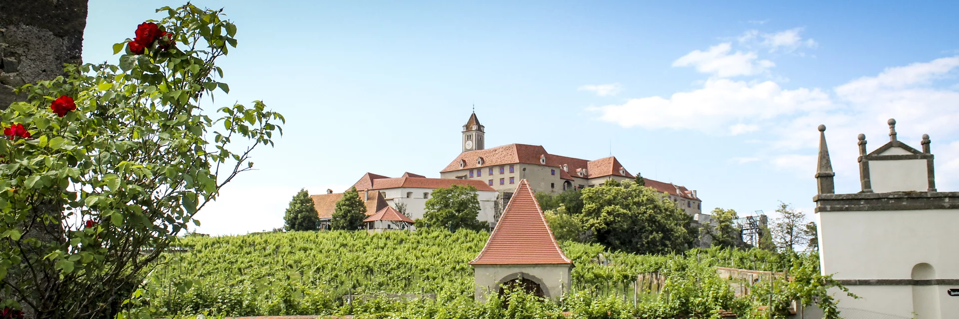 Riegersburg mit Weingarten | © STG | Günther Steininger