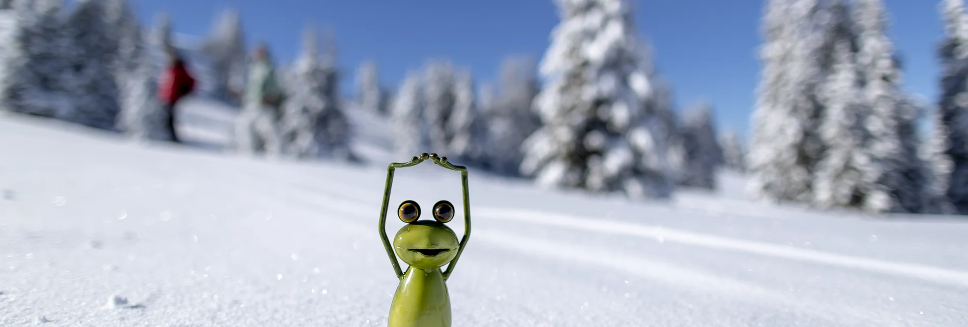 the Styrian frog on the Frauenalpe | © Steiermark Tourismus | Tom Lamm